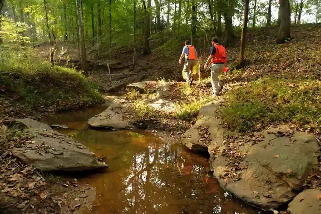 Buffalo Creek Preserve