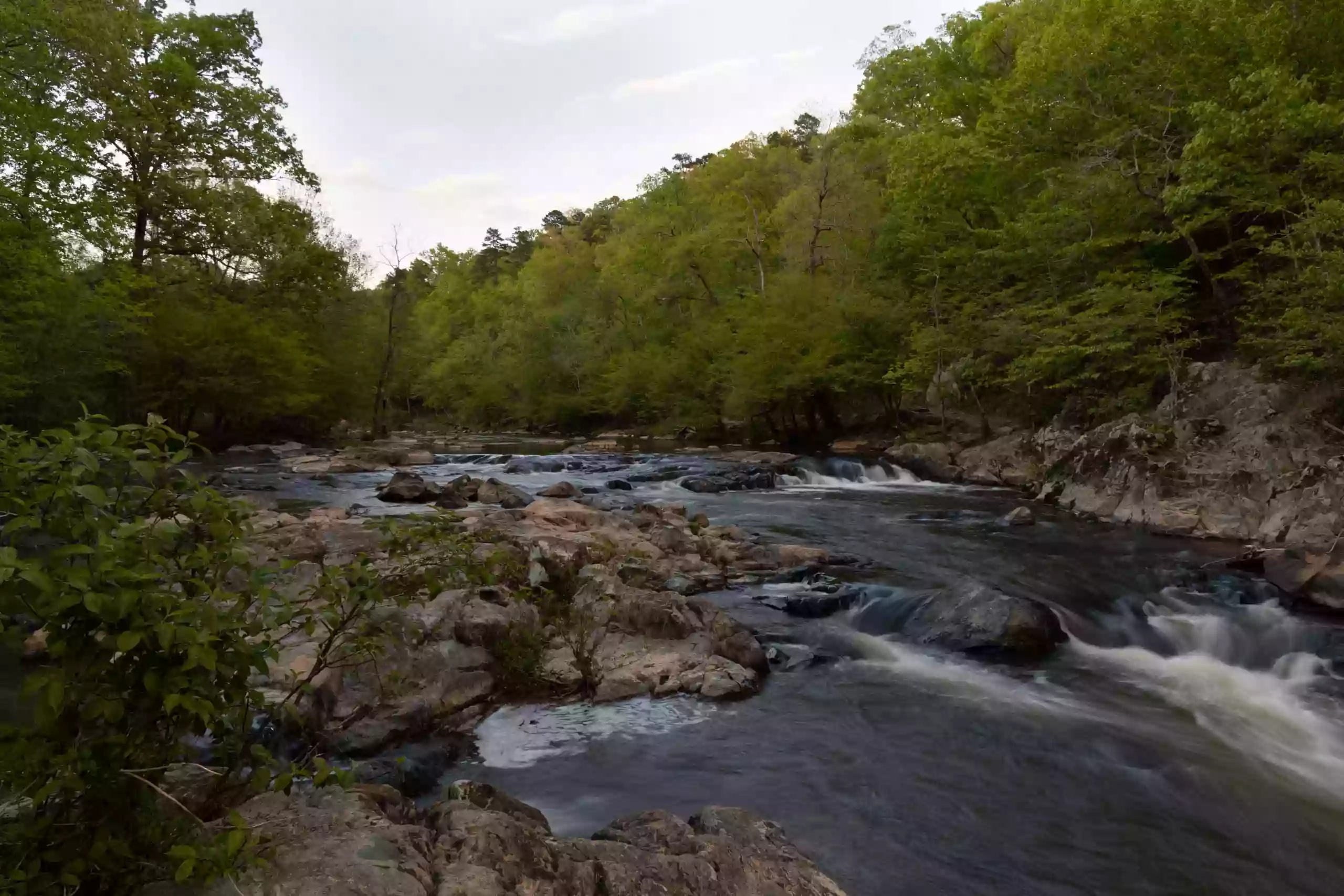 Eno River Association