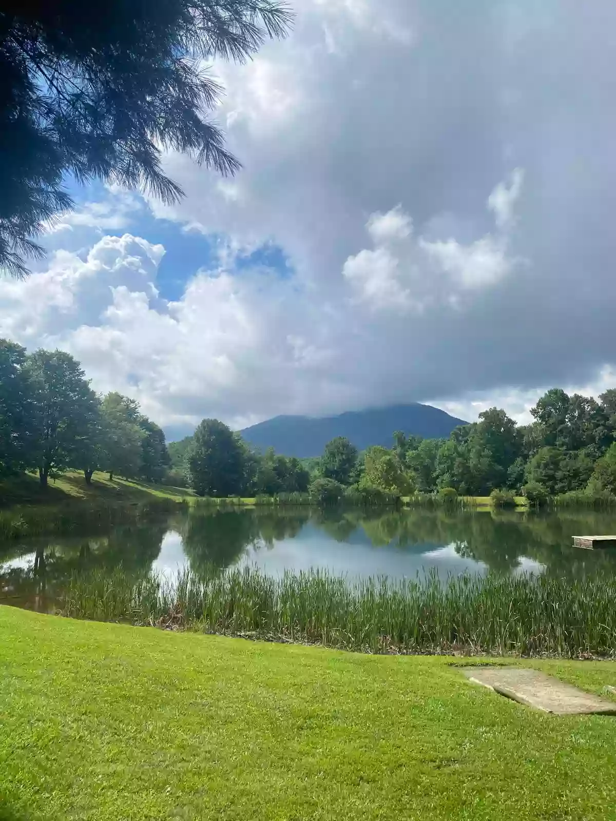 Ashe County Park Disc Golf Course