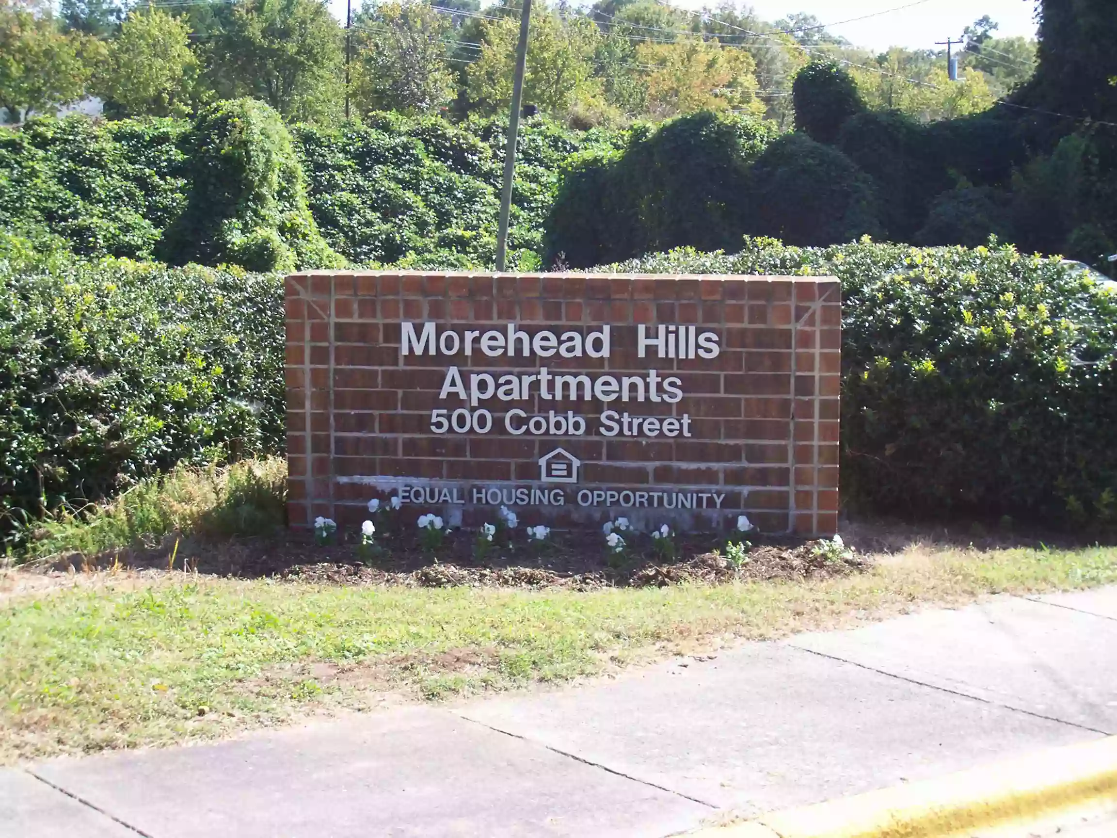 Morehead Hills