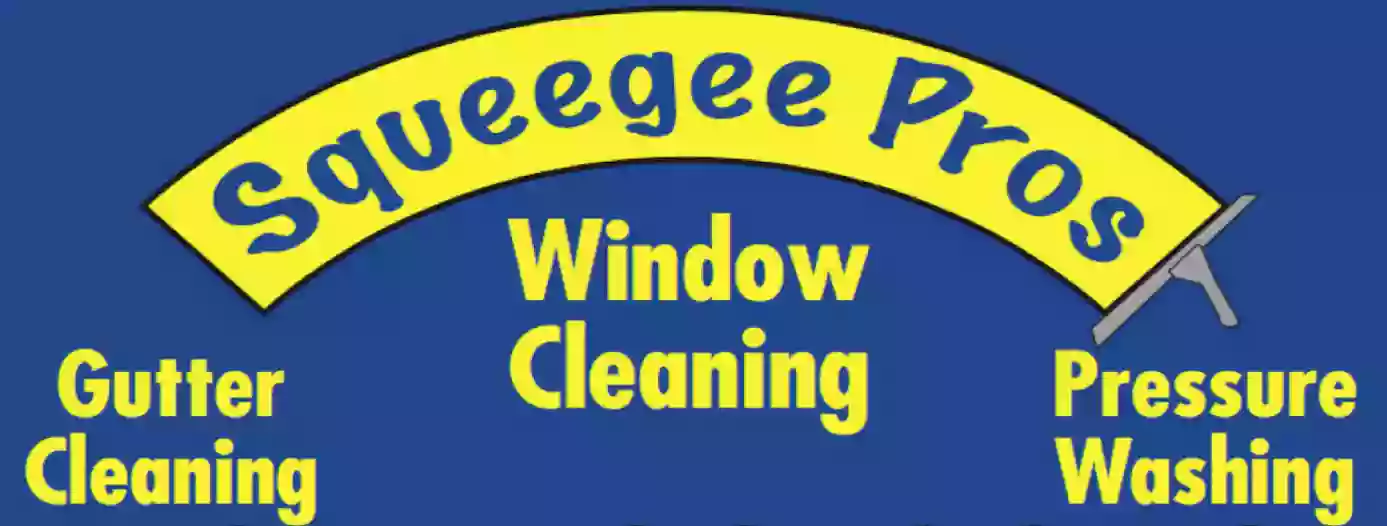 Squeegee Pros Window Cleaning
