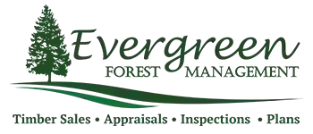 Evergreen Forest Management