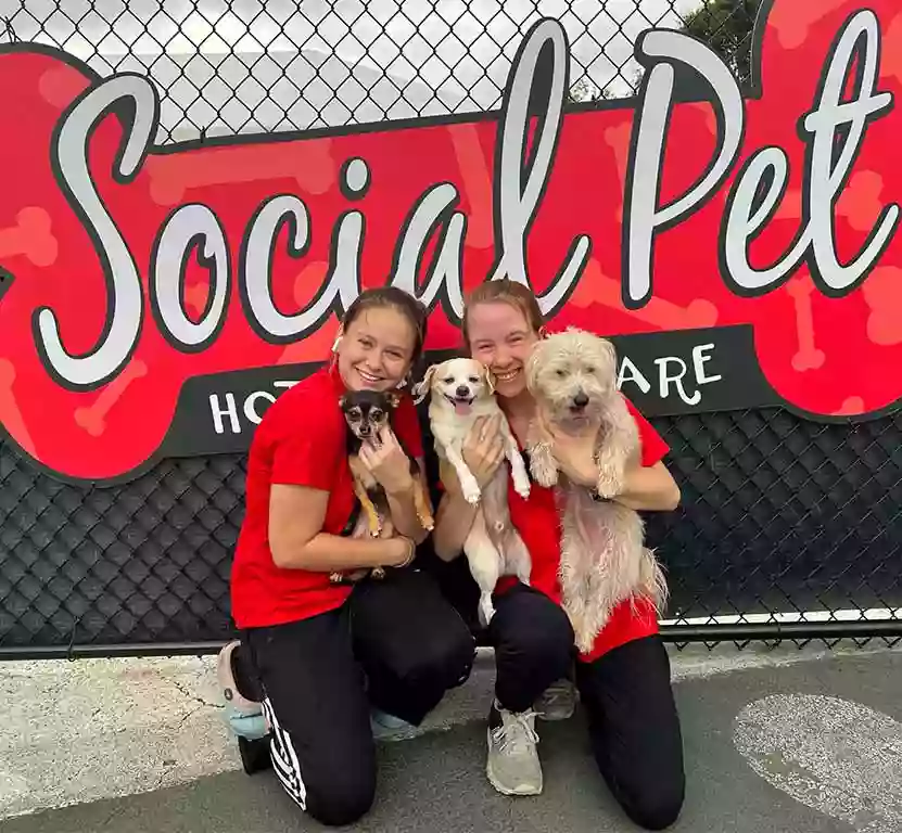 Social Pet at Charlotte