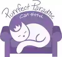 Purrfect Paradise Cat Hotel