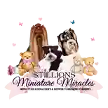 Stillions Miniature Miracles (SMM Ranch)