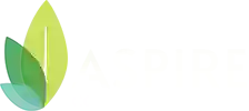 Aspire Counseling Group