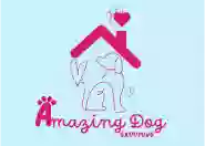 Amazing Dog Grooming