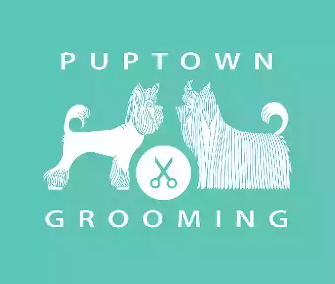 PupTown Grooming