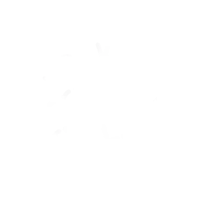 Oak City Cycling