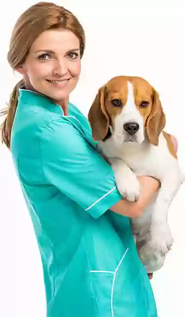 After Hours Veterinary Emergency Clinic, PA