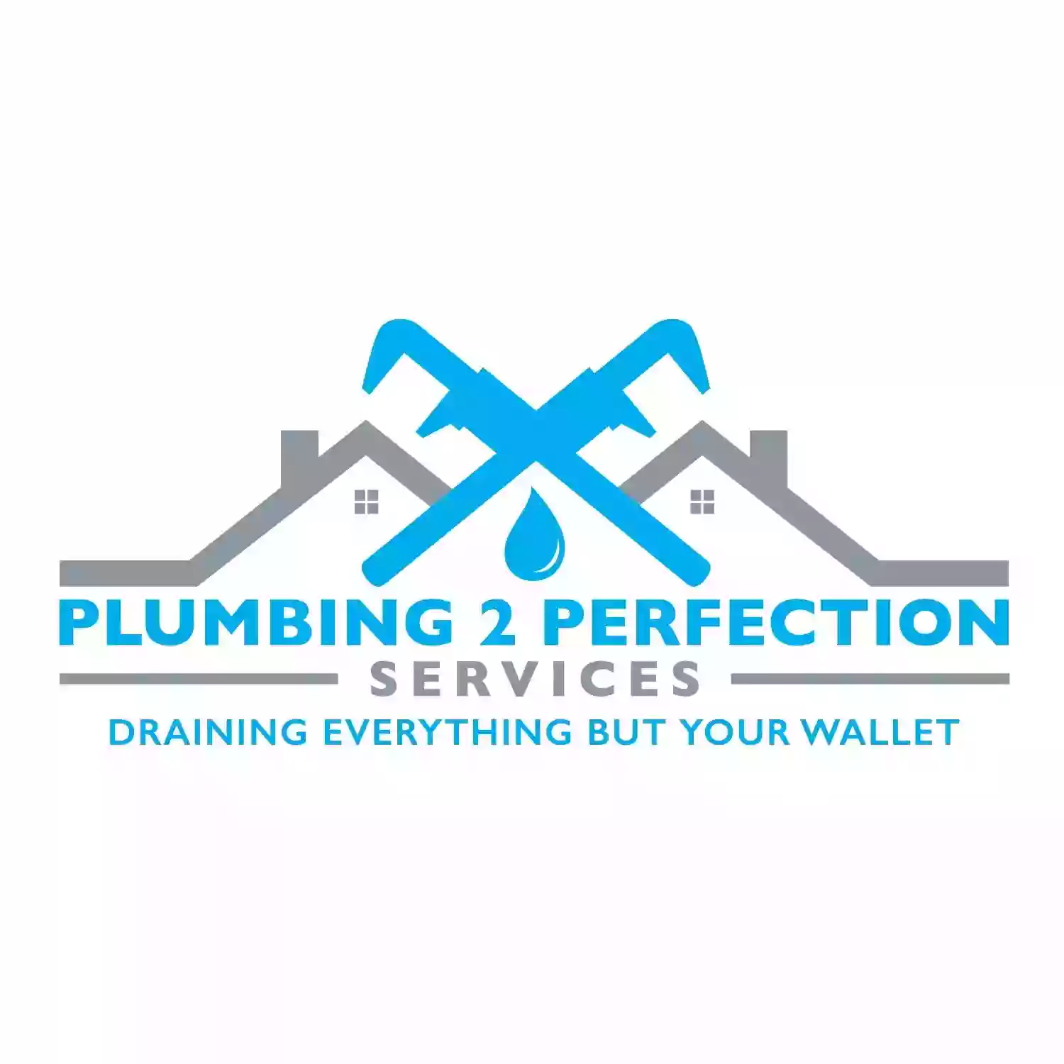 Plumbing 2 Perfection, LLC