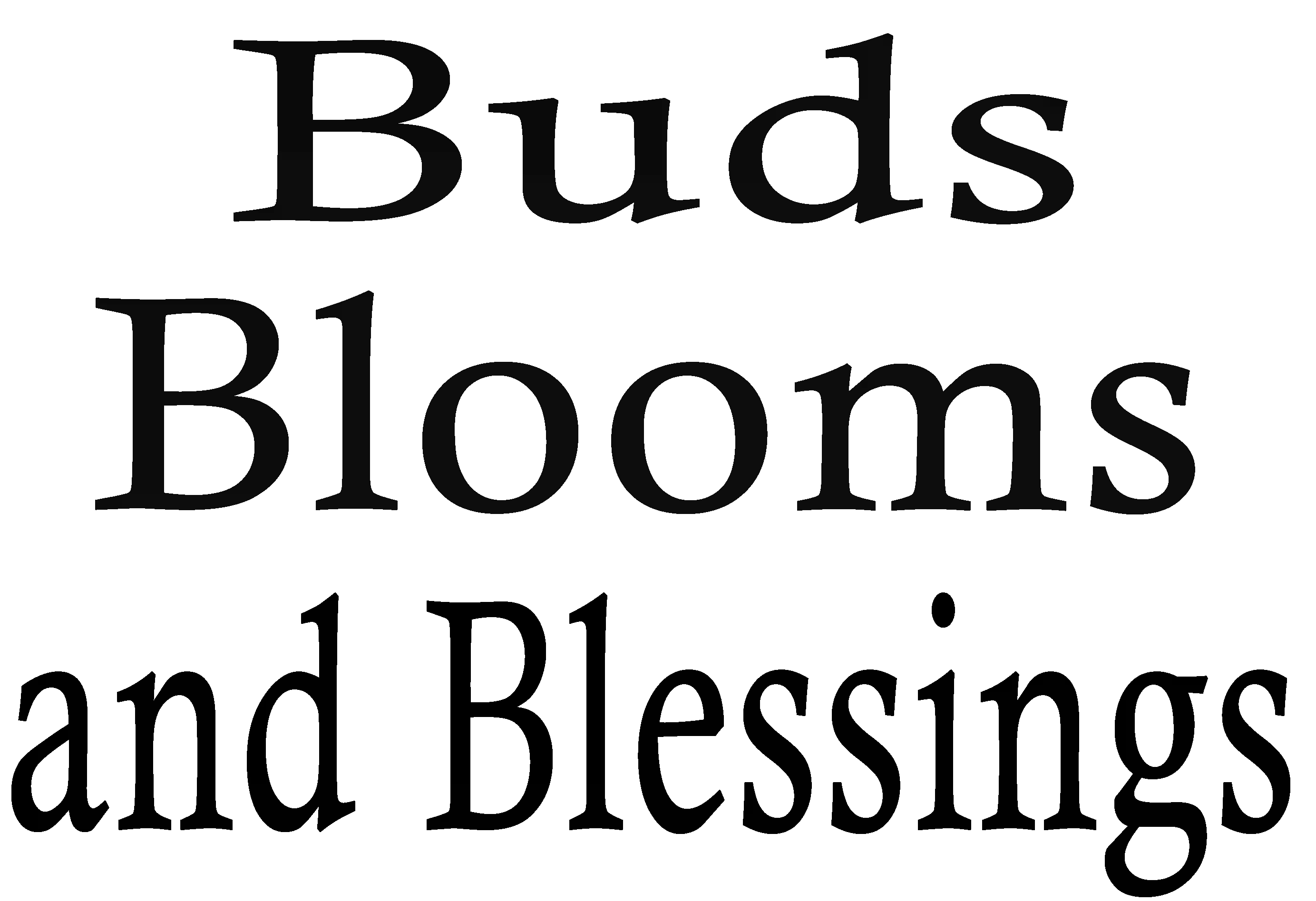 Buds Blooms and Blessings