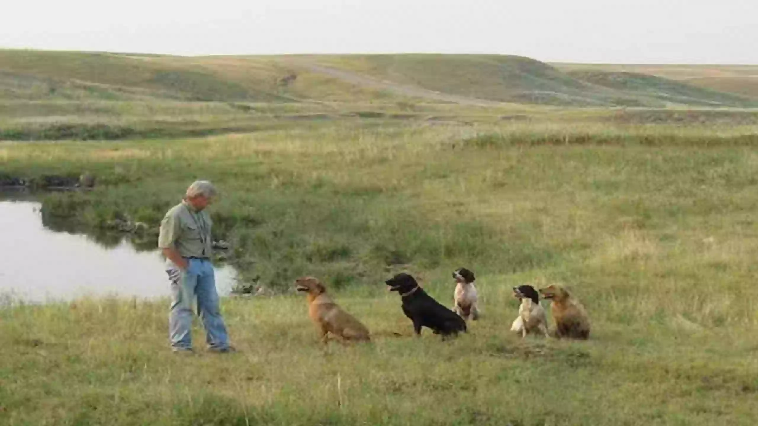 Big Sky Kennels