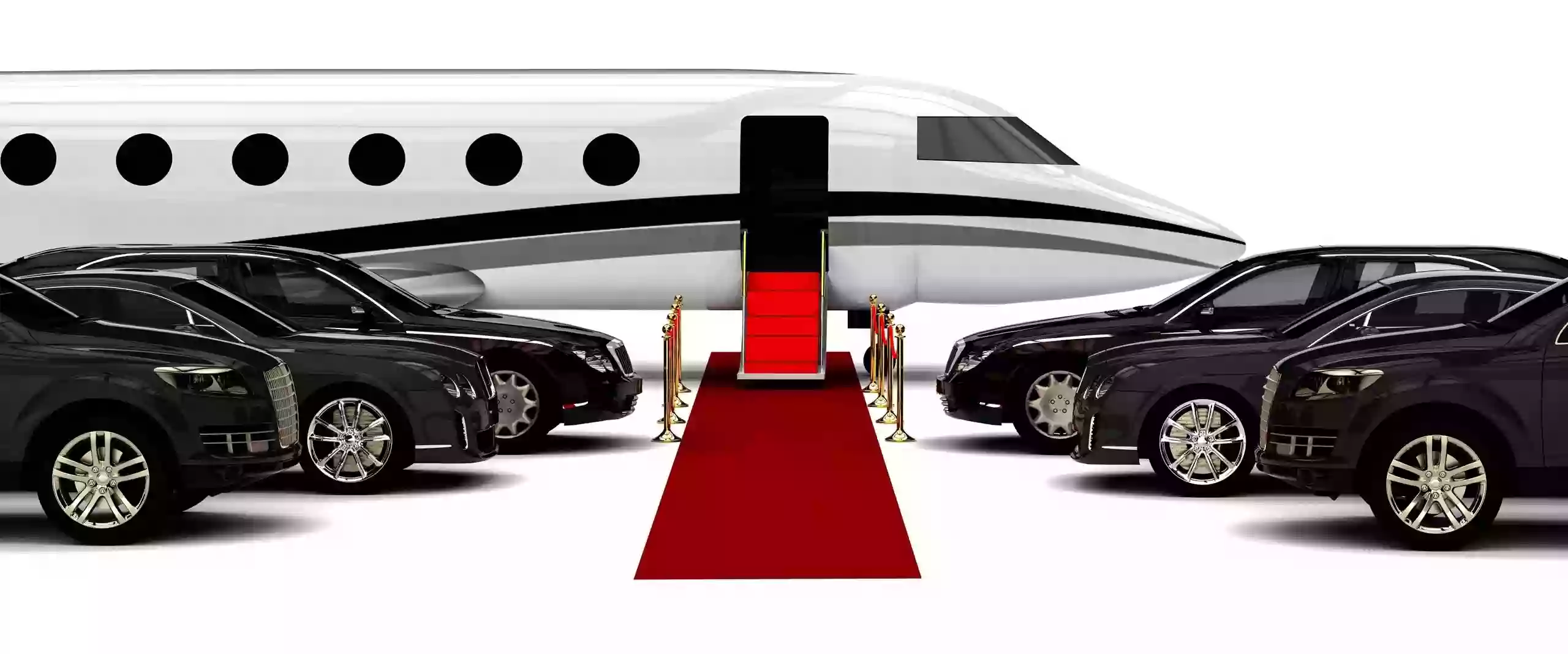 All County Professional Limousine LLC