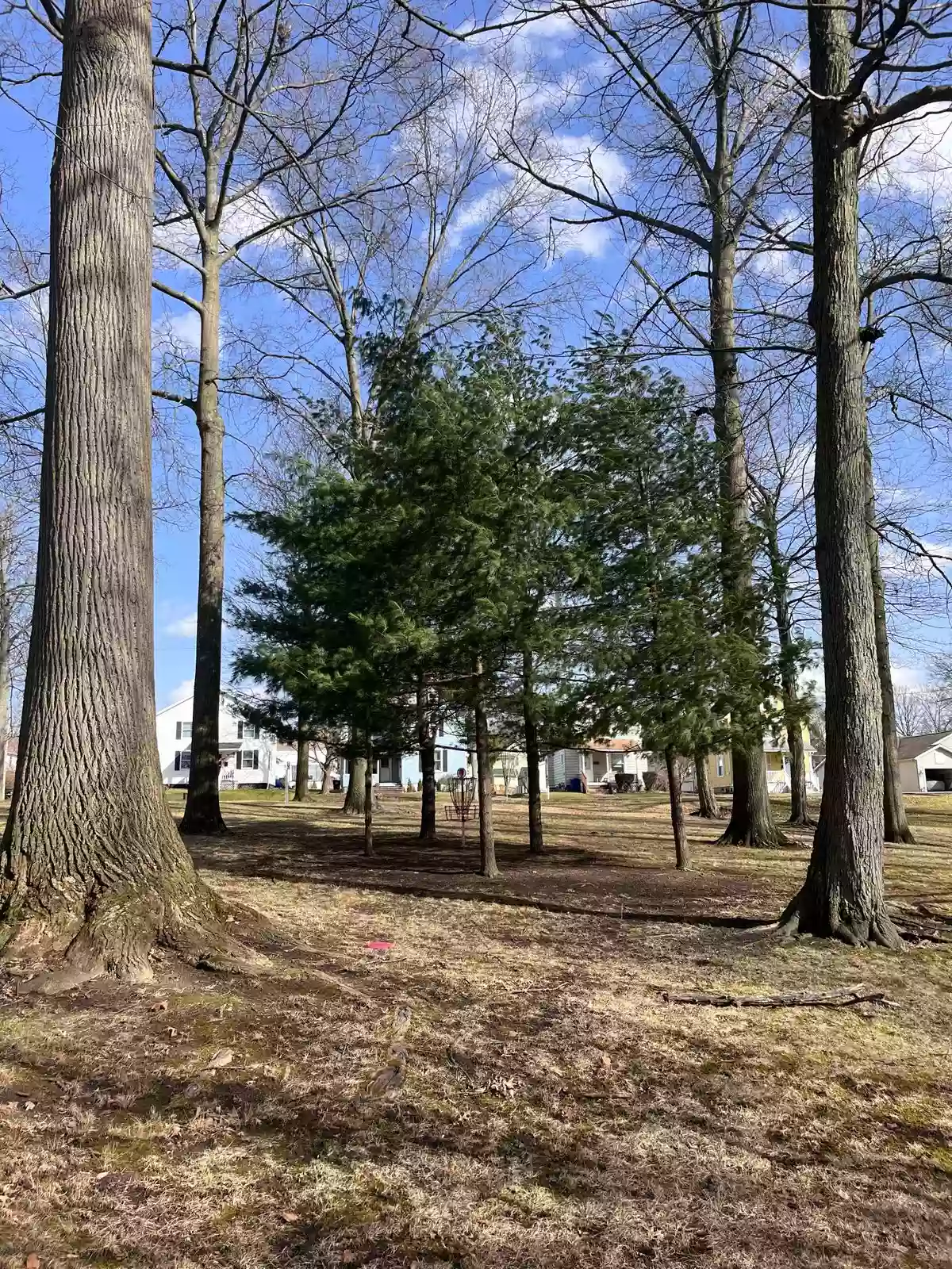 Centennial Park Disc Golf Course