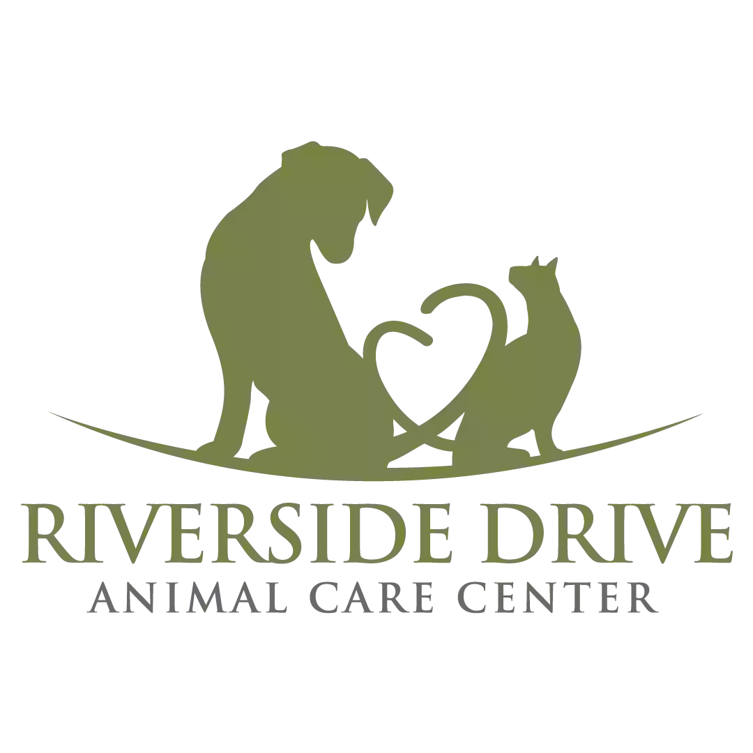 Riverside Drive Animal Care