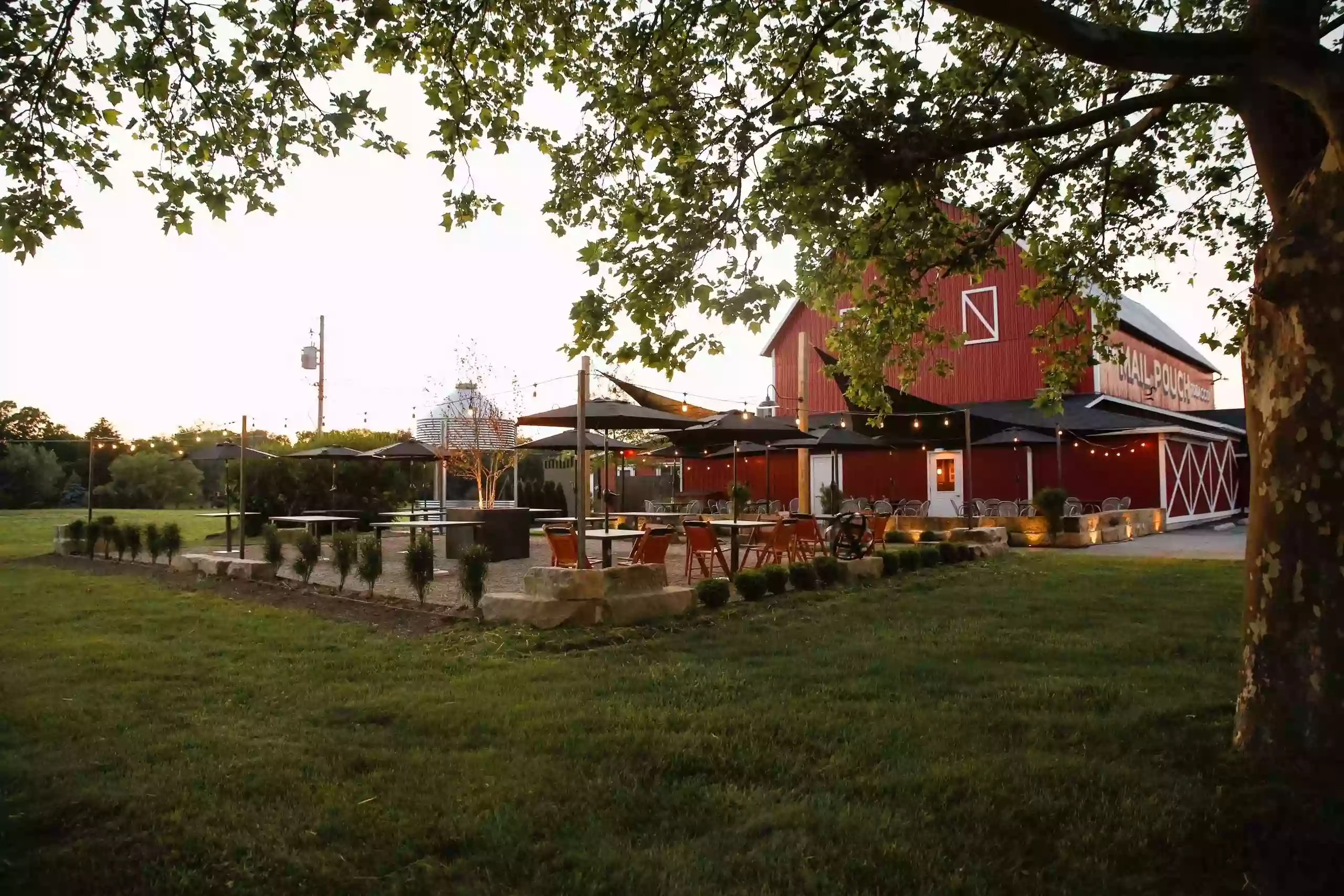 The Steer Barn