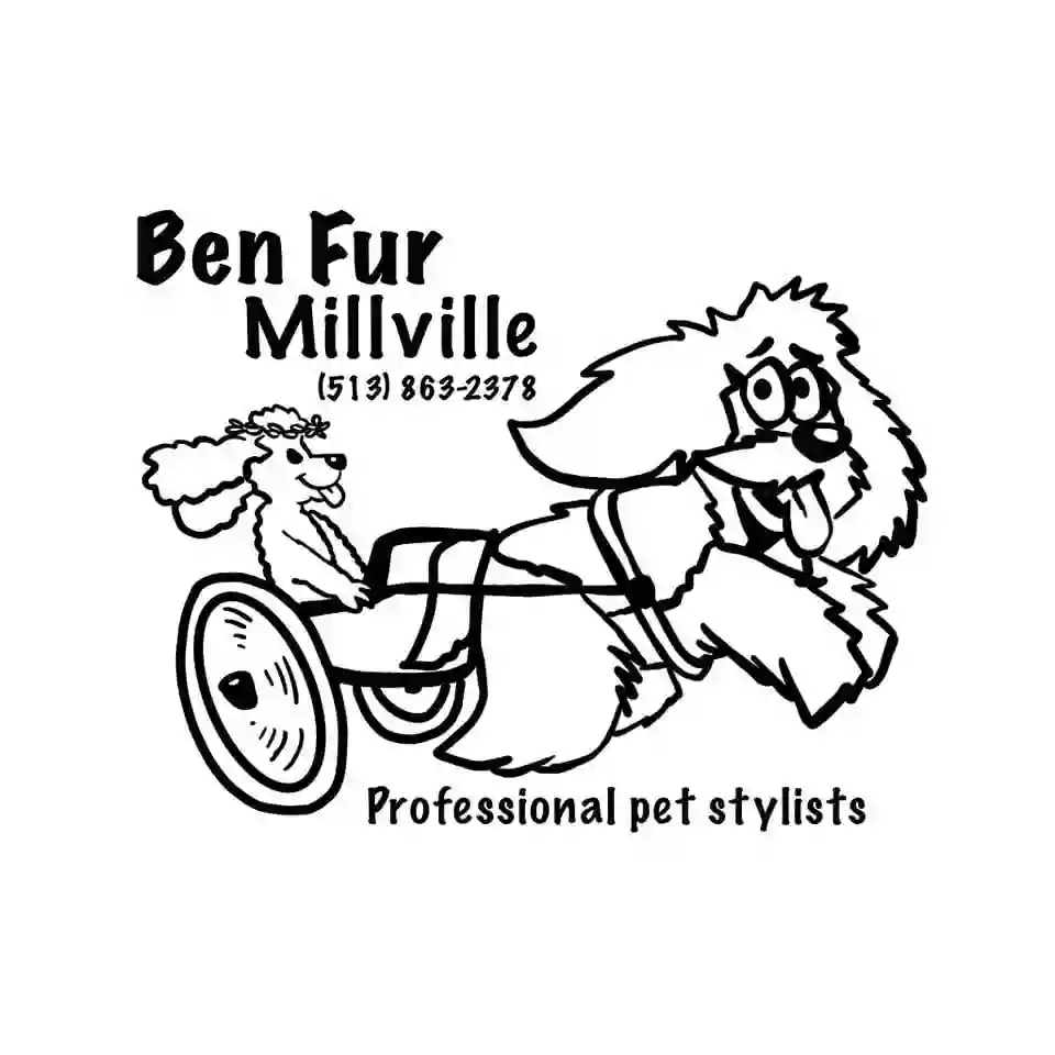 Ben Fur Pet Grooming