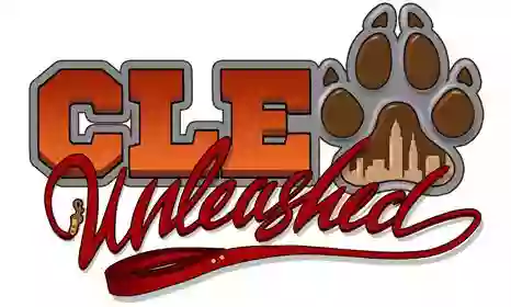 CLE Unleashed