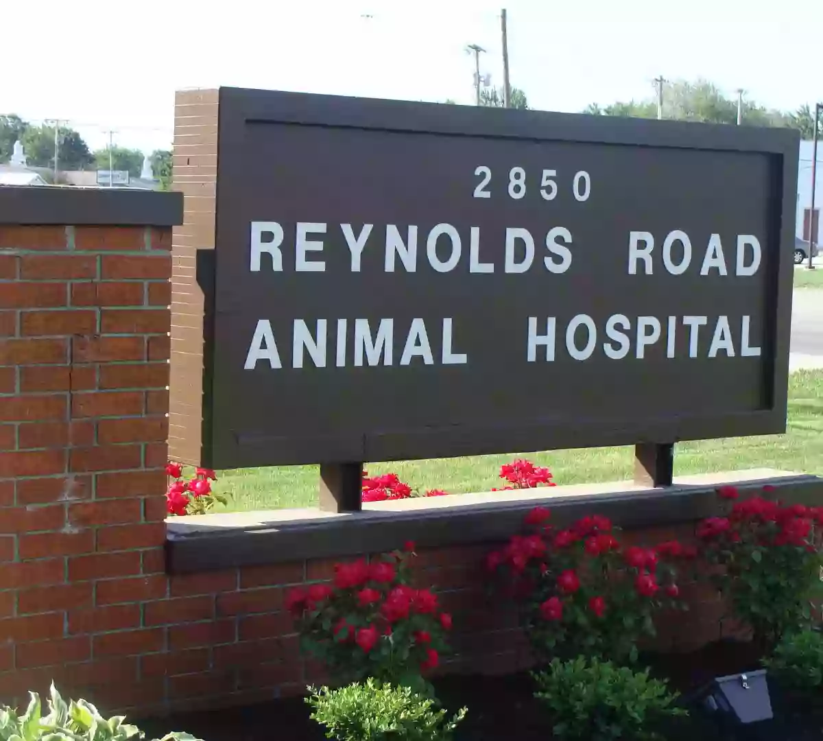 Reynolds Road Animal Hospital: Grothaus Ronald H DVM