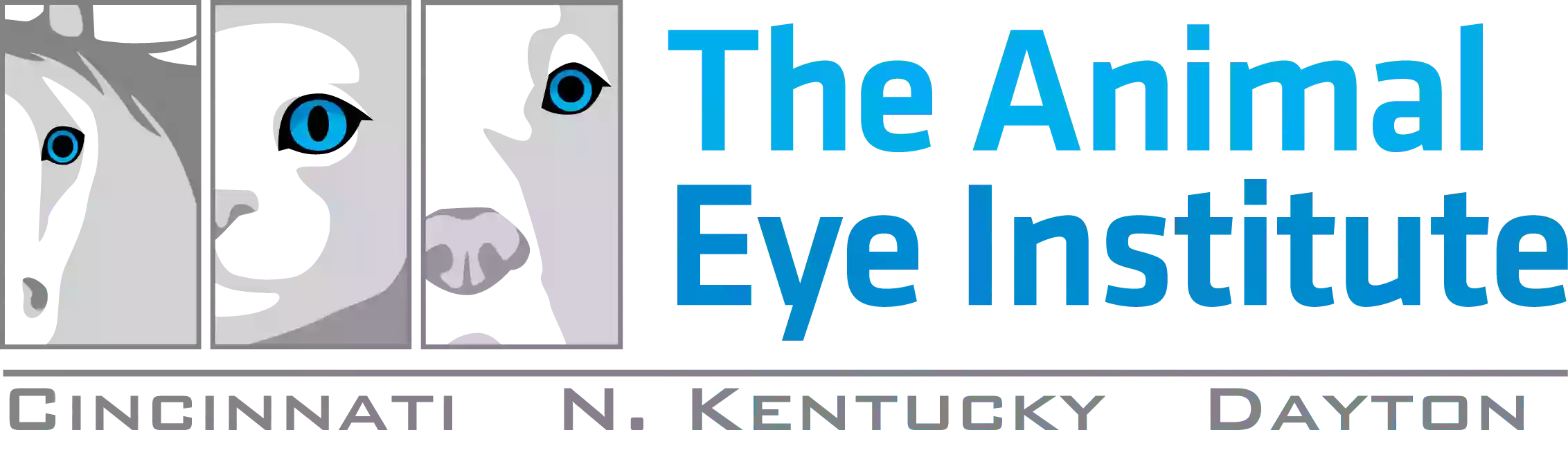 Animal Eye Institute of Dayton