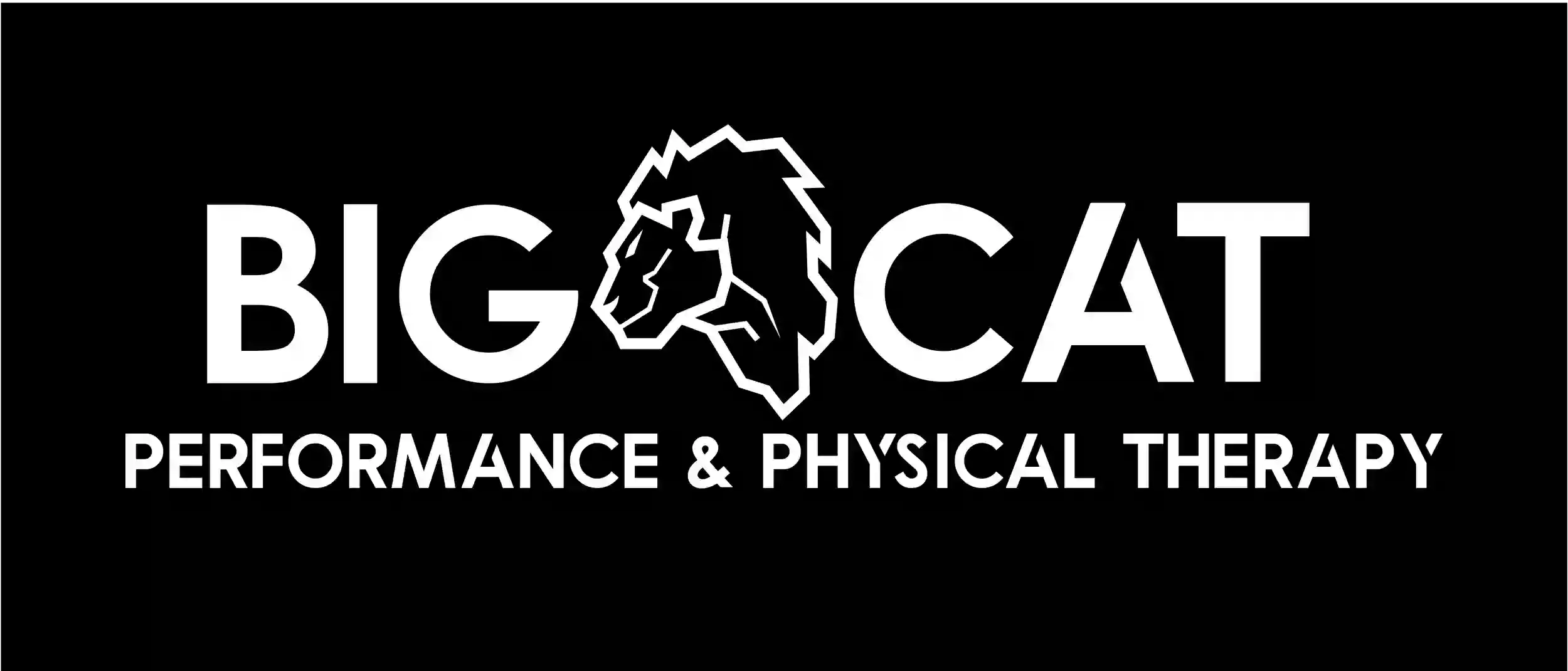 Big Cat Performance & Physical Therapy