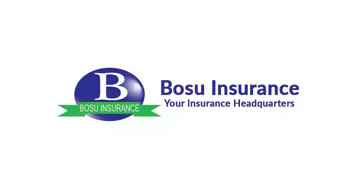 Bosu Insurance Group