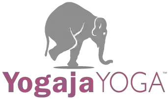 Yogaja Yoga Downtown Toledo Training Center