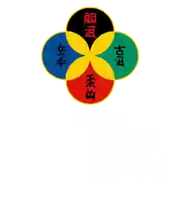 International Karate Center