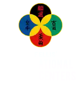 Jeff Ellis'International Karate Centers