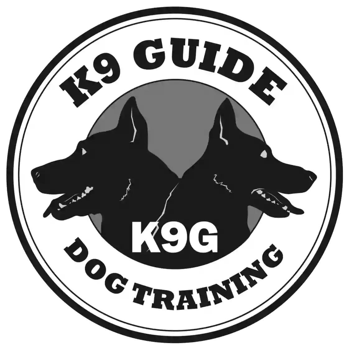 K9 Guide Dog Training