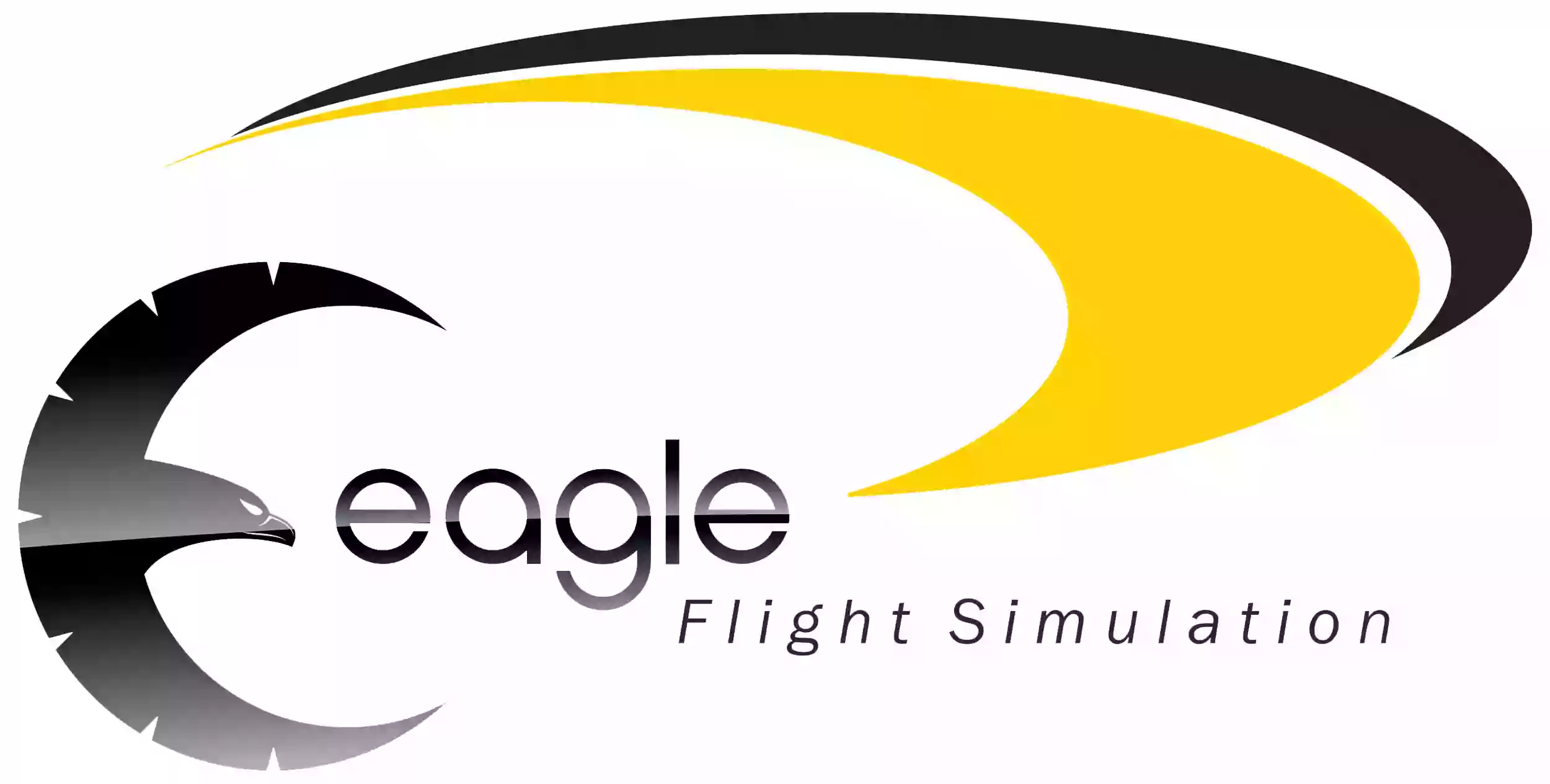 Eagle Flight Simulation