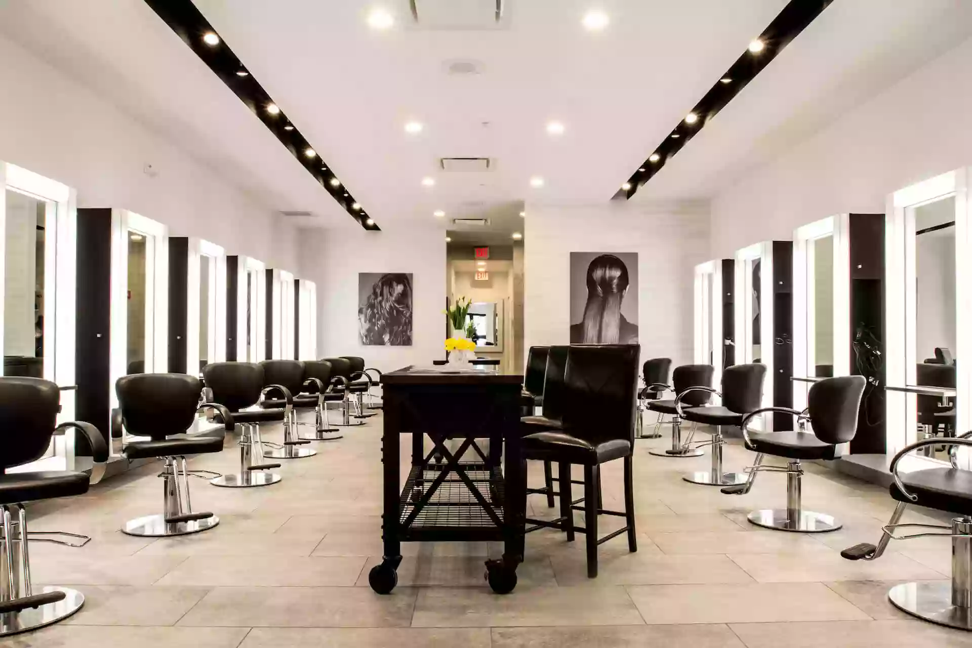 Dino Palmieri Salon Crocker Park