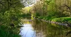 Morgan Swamp Preserve - Long Pond Trail