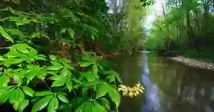 Big Darby Headwaters Nature Preserve