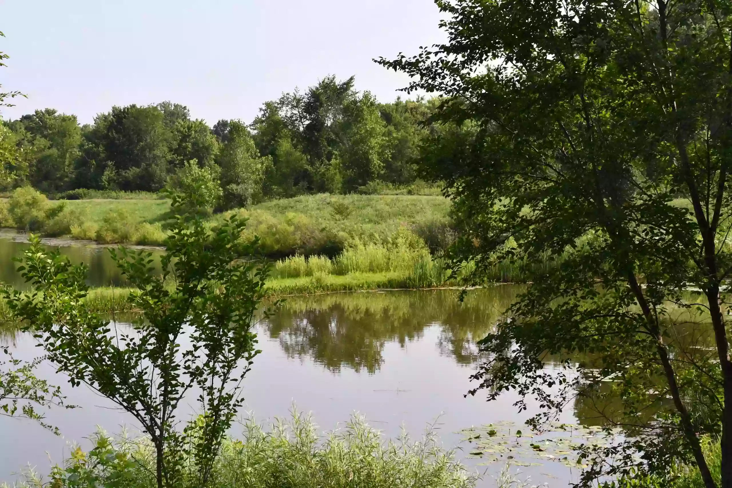 Fairhope Nature Preserve