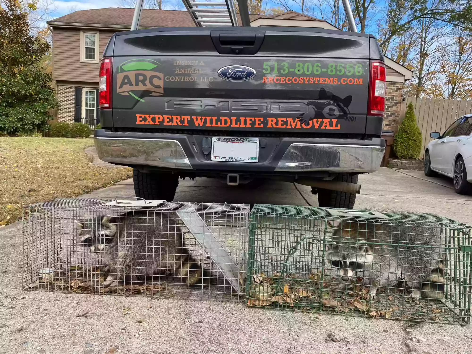 ARC Animal Removal & Control