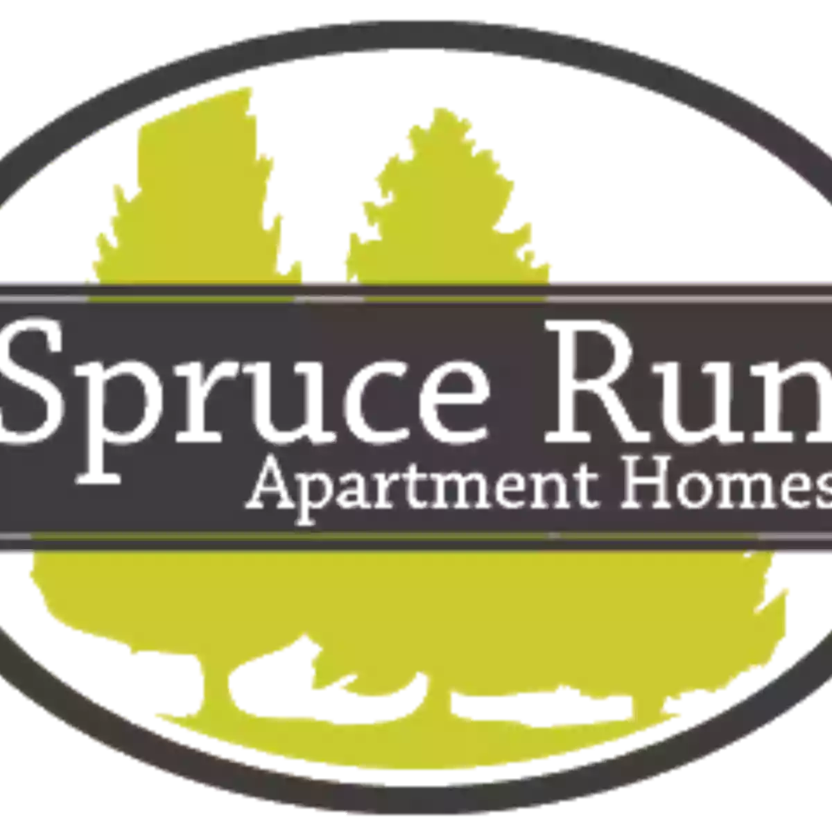 Spruce Run