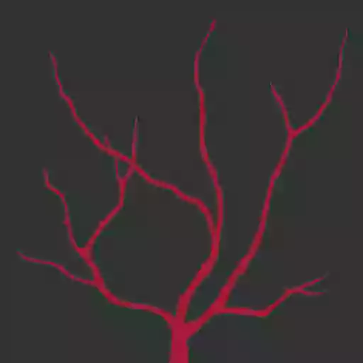 The Red Twig