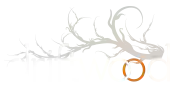 Driftwood Catering