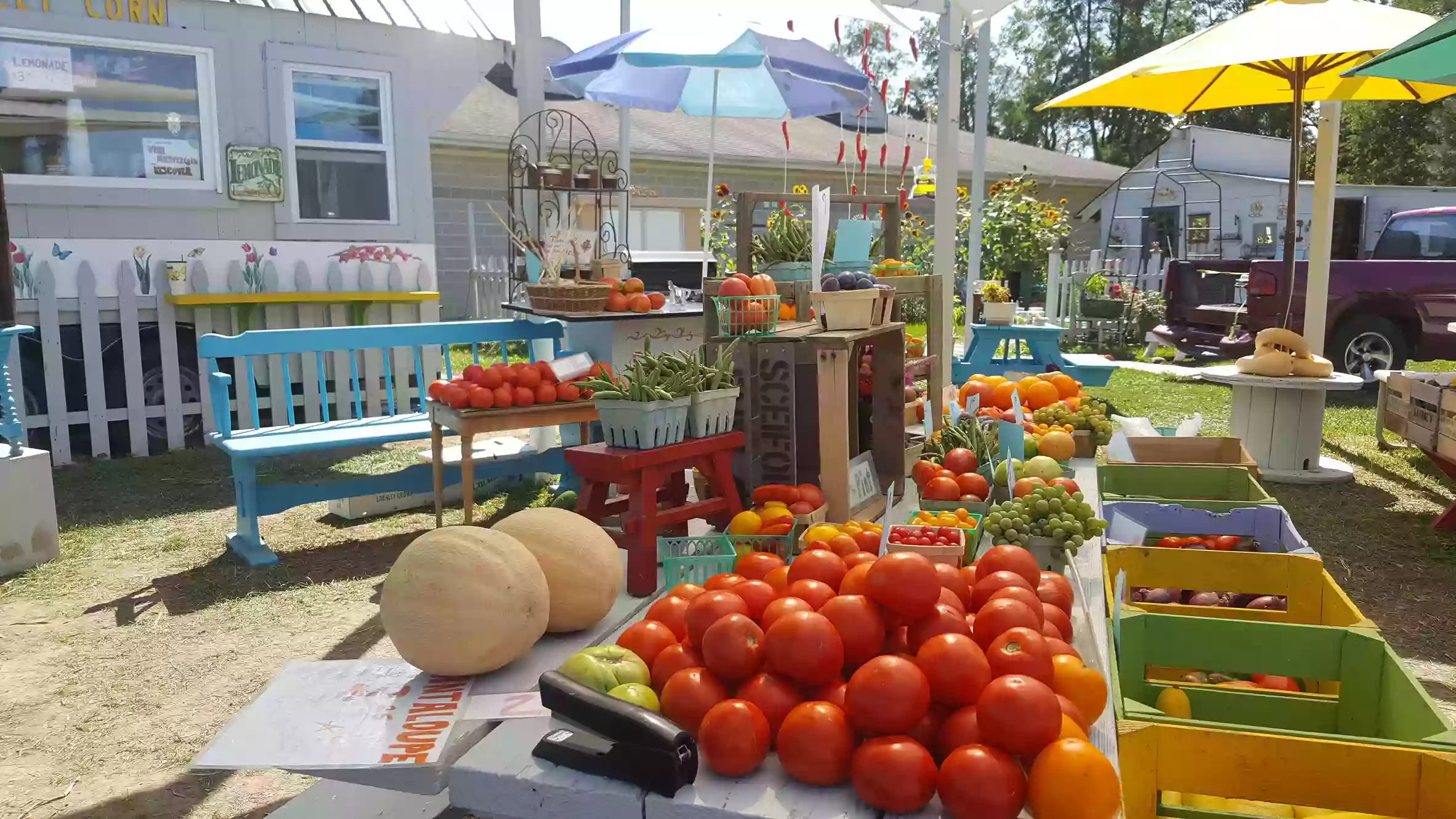 A Taste of Summer Farmers Market