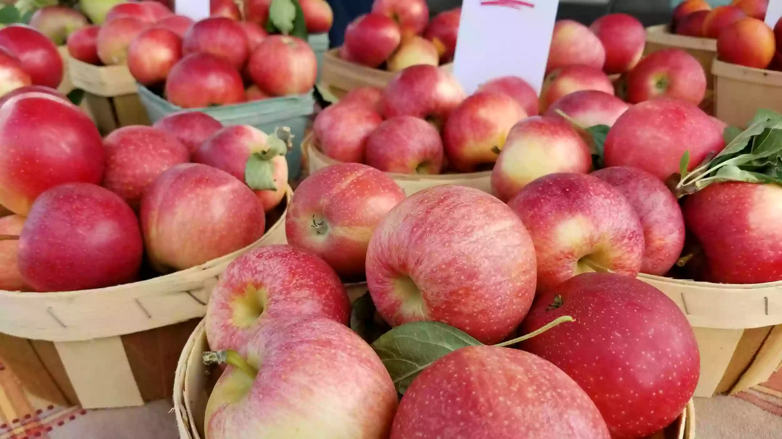 North Canton Farmers' Market