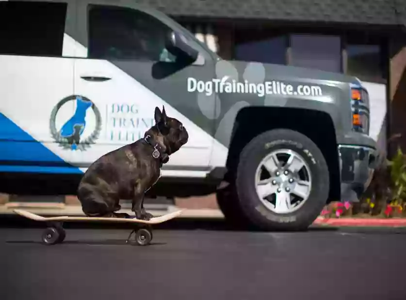 Dog Training Elite Northeast Ohio