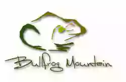 Bullfrog Mountain Cabin Rentals