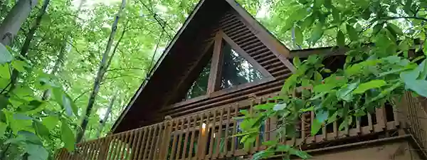 Valley View Cabins