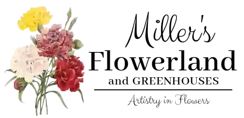 Miller's Flowerland