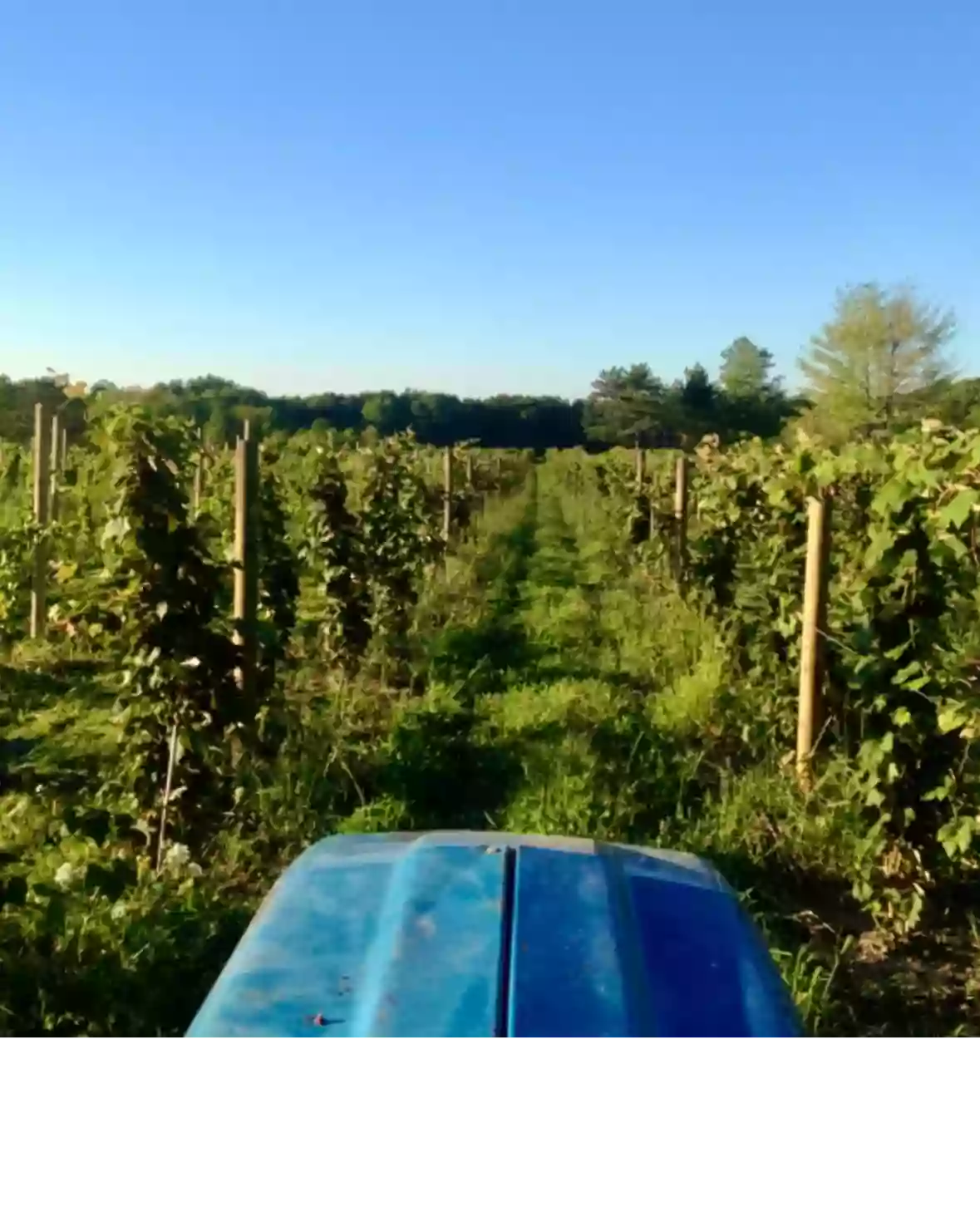 Hundley Cellars