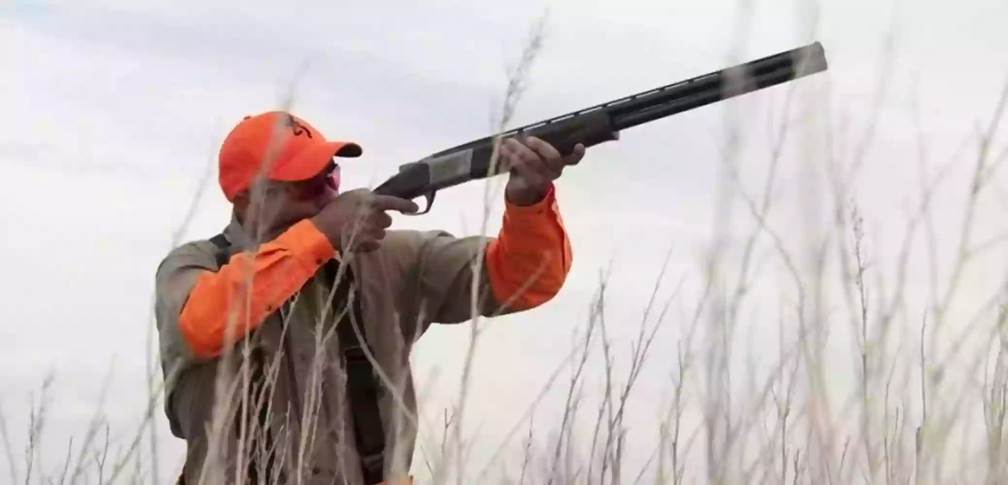 Buckeye Pheasant Hunting Preserve