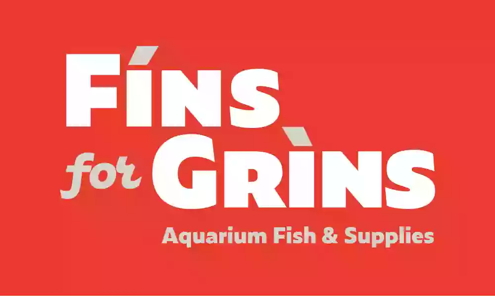 Fins For Grins