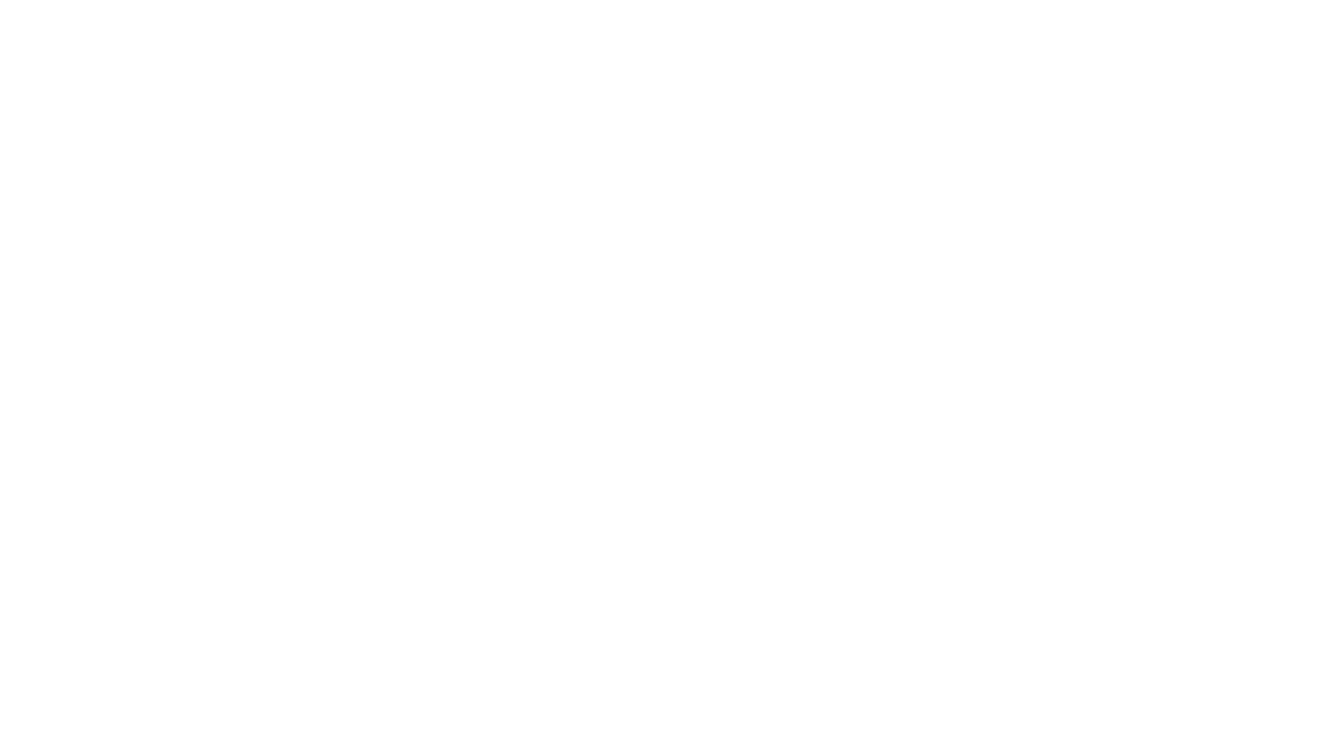 Precision Equine Surgery